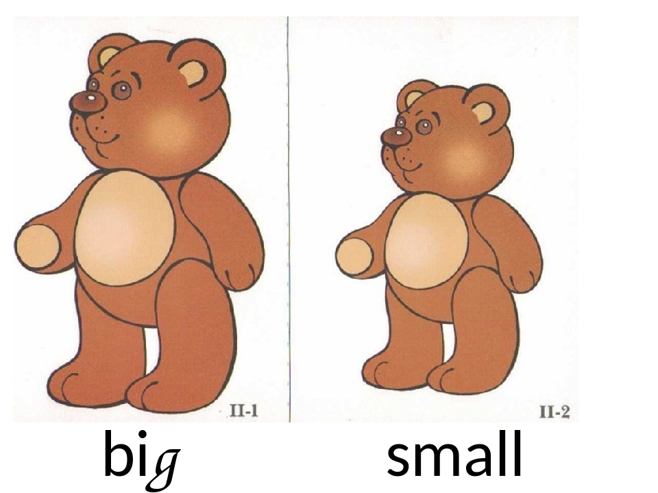 Игра маленькие мишки. Медведи большой и маленький для детей. Большой маленький для детей. Раздаточный материал для детей. Большой и маленький мишка.