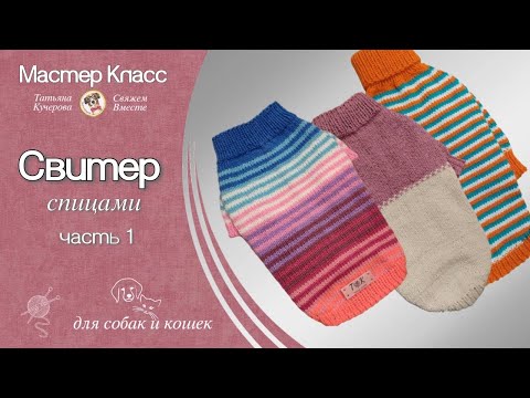 Свитер для собаки спицами, часть 1, DIY Dog sweater spokes, part 1