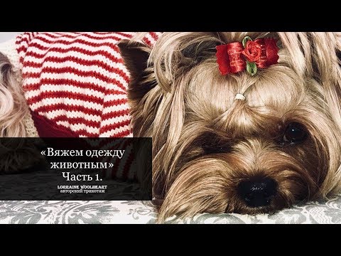 "Вяжем одежду для животных. Часть 1" - вместе с Lorraine Woolheart