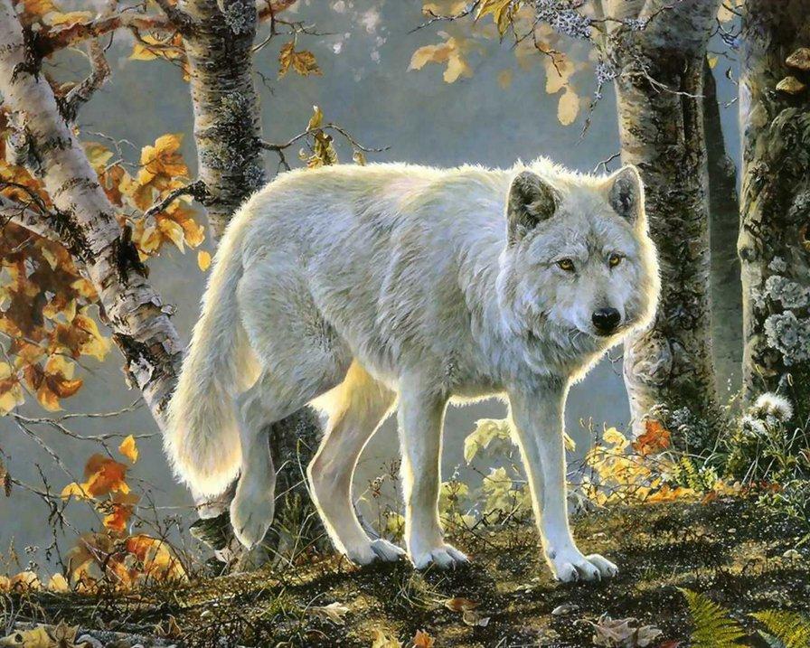 Вышивка с белым волком является прекрасным подарком, который обязательно понравится как взрослым, так и детям