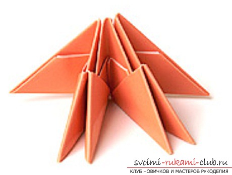 модульное оригами лебедя. Фото №24